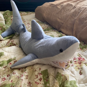 Finn the Weighted Shark